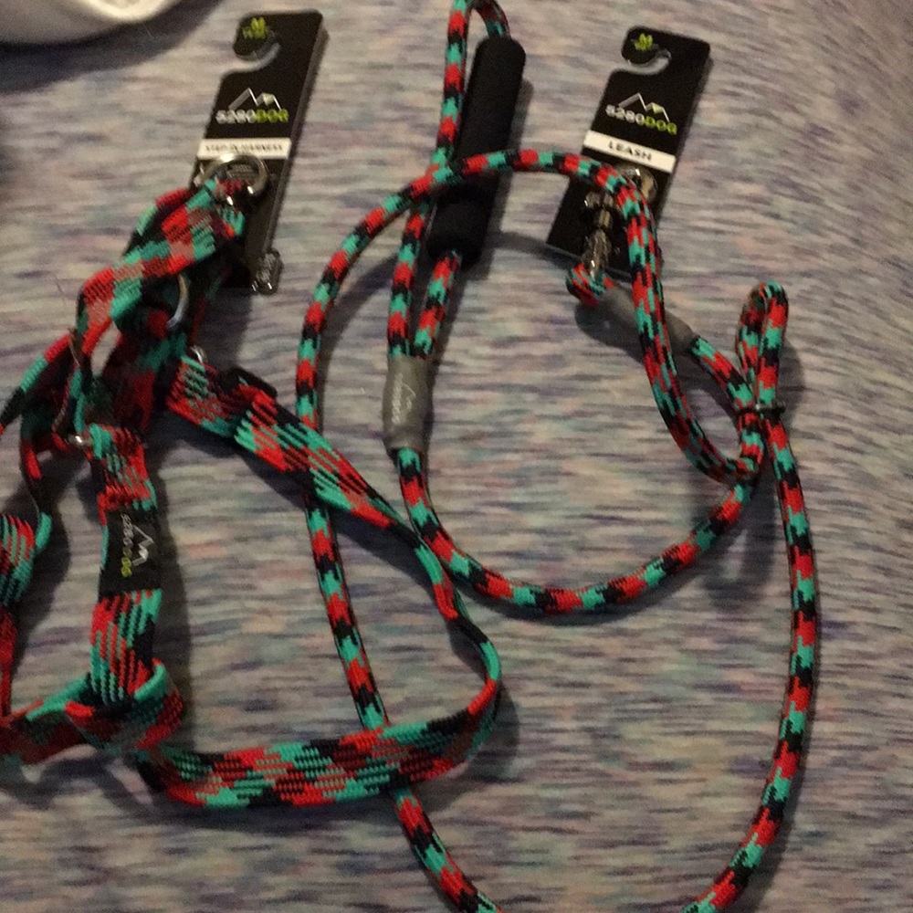 Harness and leash